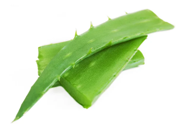 Frische Aloe Vera Blätter mit Wassertropfen isoliert auf weiß — Stockfoto
