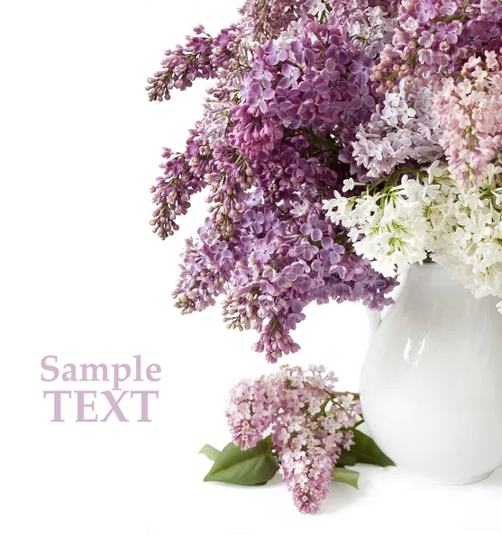 Lilac flowers bunch in vase isolated on white background — Stock Photo, Image