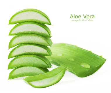 Aloe Vera leaves with water drops isolated on white background clipart