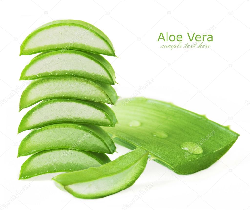 Aloe Vera leaves with water drops isolated on white background