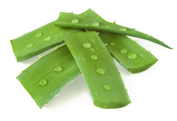 Feuilles fraîches d'aloe vera avec gouttes d'eau isolées sur blanc — Photo