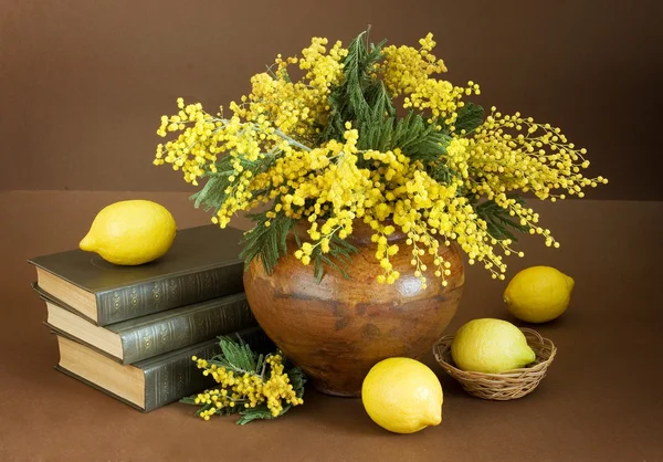 Still life with mimosa flowers bunch, antique books pile and lemons on artistic background — Stock Photo, Image