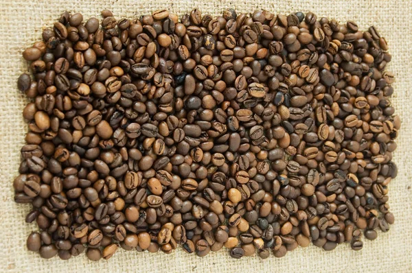 Brun kaffebönor, närbild av kaffebönor för bakgrund och textur — Stockfoto