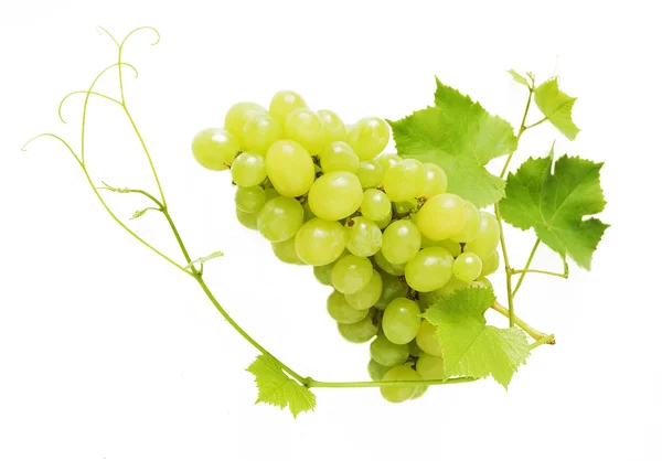 Almuerzo de uvas primer plano aislado sobre fondo blanco —  Fotos de Stock