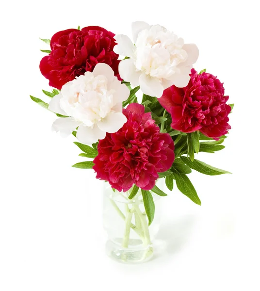 Piwonia kiść kwiaty w wazonie na białym tle — Zdjęcie stockowe