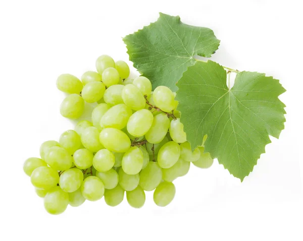 Uvas brunch closeup isolado no fundo branco — Fotografia de Stock