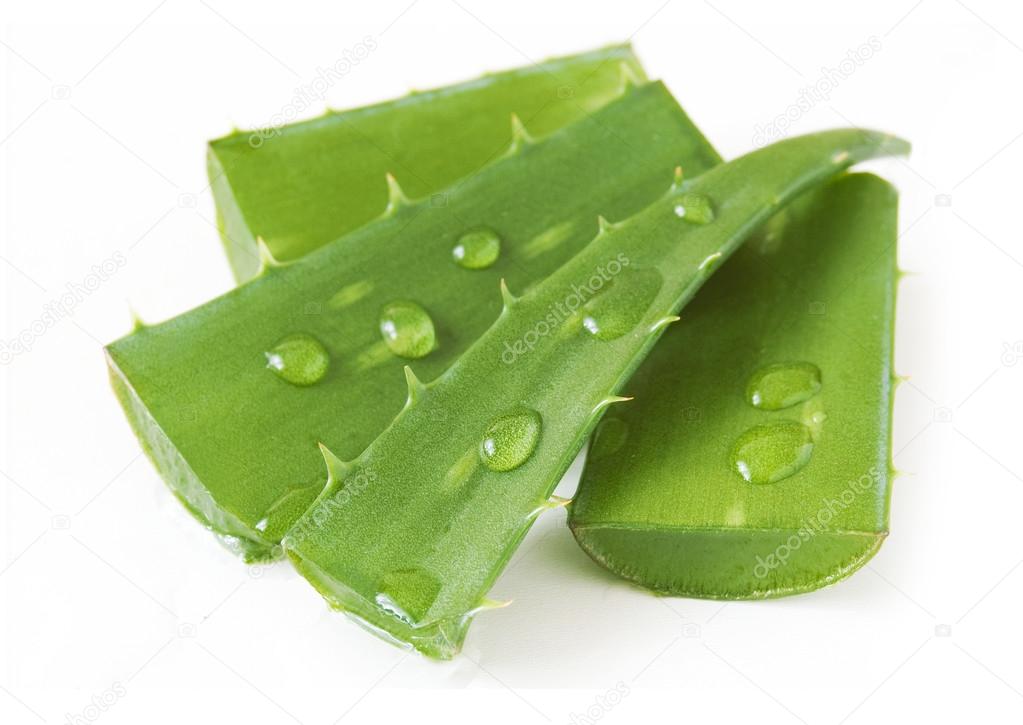 Fresh aloe vera leaves with water drops isolated on white