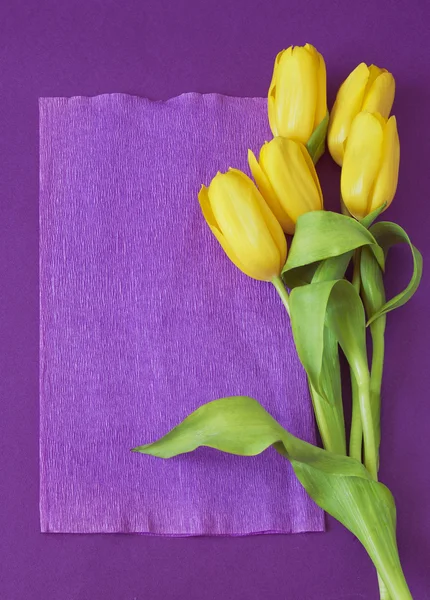 Gelber Tulpenstrauß auf violettem Hintergrund — Stockfoto