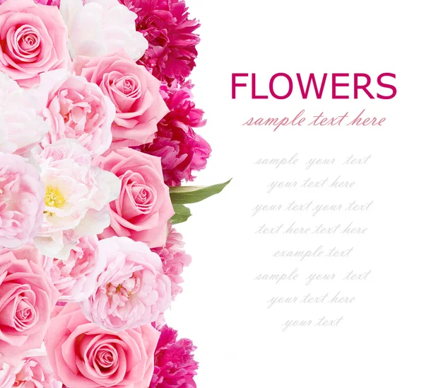 Blommor bakgrund isolerad på vit med exempeltext. Pion, rosor och tulpaner — Stockfoto