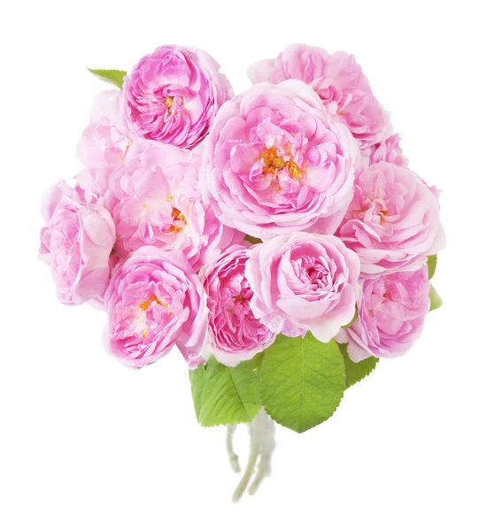 Mazzo di rose rosa isolate su bianco — Foto Stock