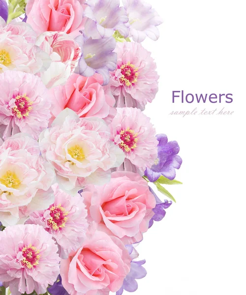 Tulips, bluebells and roses flowers background isolated on white with sample text — Stock Photo, Image