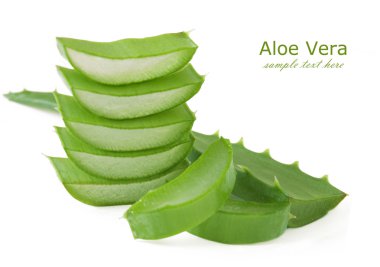 Aloe Vera leaves isolated on white background clipart