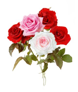 Beyaz arka plan üzerinde izole kırmızı, sarı, pembe, krem ve vermilyon gül demet