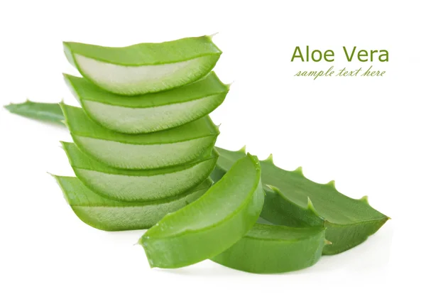 Aloe Vera Blätter isoliert auf weißem Hintergrund — Stockfoto