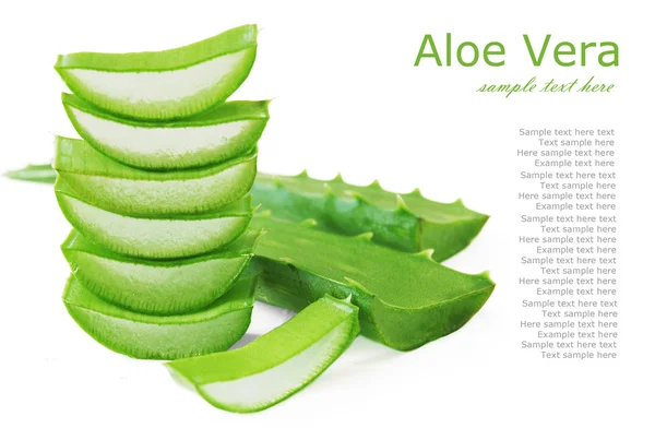 Aloe Vera beyaz arkaplanda izole bir şekilde bırakır — Stok fotoğraf