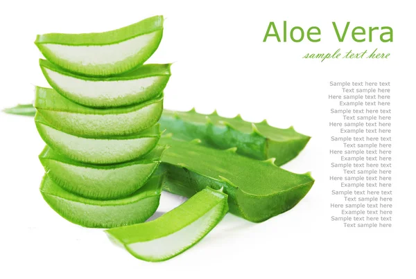 Hojas de aloe vera aisladas sobre fondo blanco — Foto de Stock