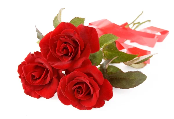 Bunch of velvet red roses isolated on white — Stock Photo, Image