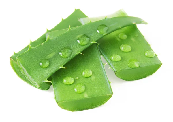 Hojas de aloe vera aisladas sobre fondo blanco — Foto de Stock