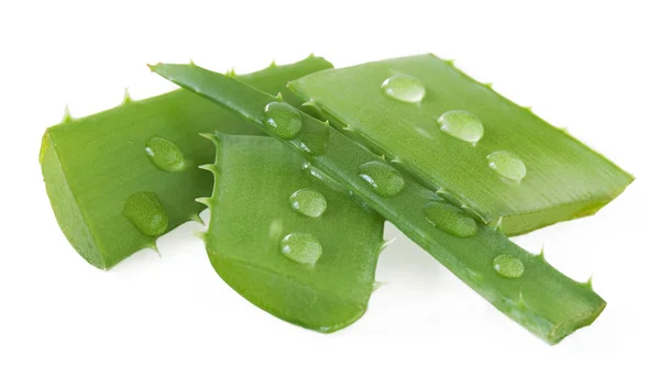Aloe Vera Blätter isoliert auf weißem Hintergrund — Stockfoto