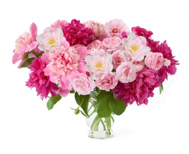 Şakayık demet izole üzerinde beyaz arka plan