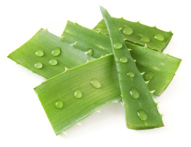 Aloe Vera beyaz arkaplanda izole bir şekilde bırakır