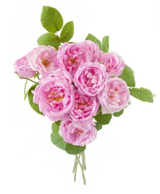 Beyaz arka plan üzerinde izole gül demet