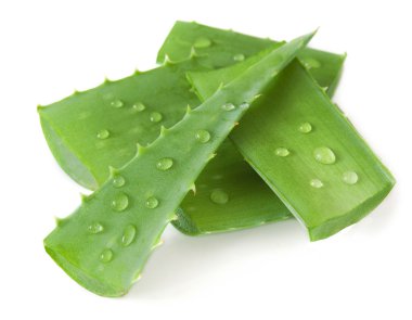 Aloe Vera beyaz arkaplanda izole bir şekilde bırakır