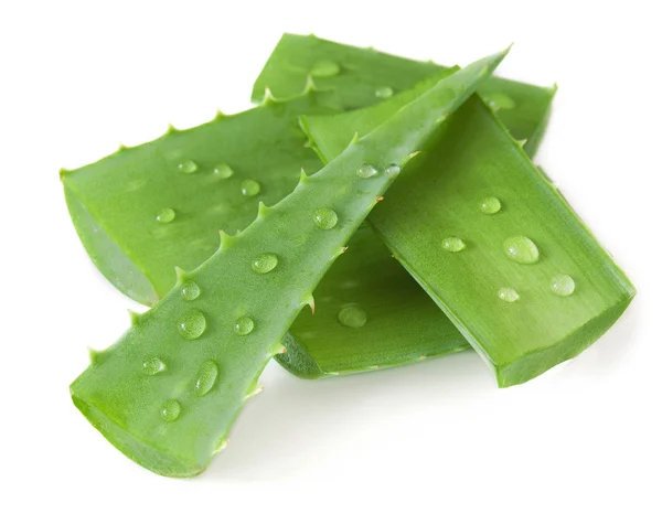 Feuilles d'aloe vera isolées sur fond blanc — Photo