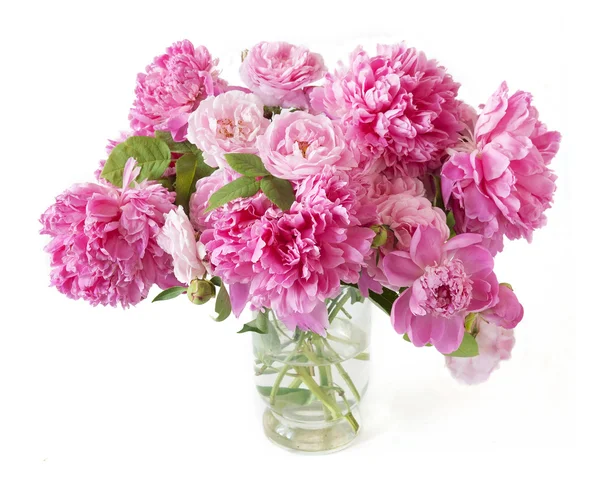 Peony bunch isolated on white background — Stock Photo, Image