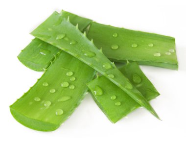 Aloe Vera beyaz arkaplanda izole bir şekilde bırakır