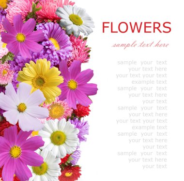 Çiçekler arka plan üzerinde beyaz örnek metin ile izole. Yaz çiçek