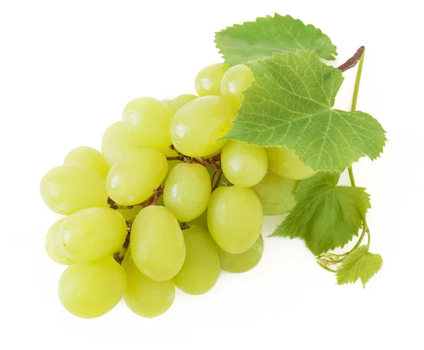 Ramo de uvas isolado sobre fundo branco — Fotografia de Stock