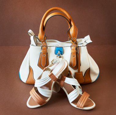 El çantası ve ayakkabı