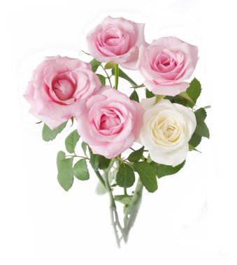 Beyaz arka plan üzerinde izole gül demet