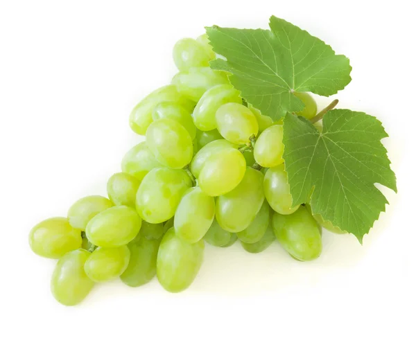 Brunch de uvas isolado em fundo branco — Fotografia de Stock
