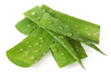 aloe vera bitkisi beyaz arkaplanda izole