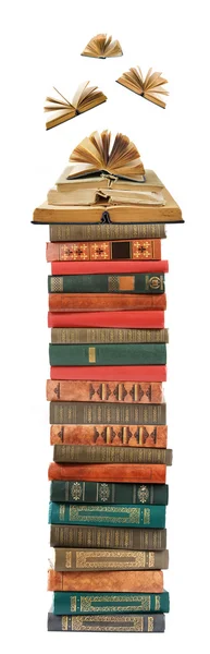 Book pile isolated on white background — Stock Photo, Image