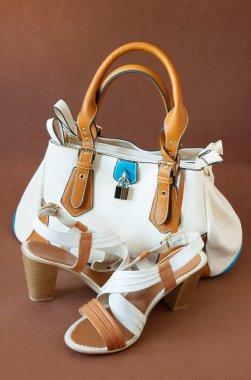 El çantası ve ayakkabı