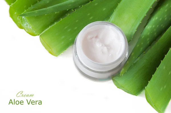 Aloe Vera Pflanze und natürliche Creme isoliert auf weißem Hintergrund — Stockfoto