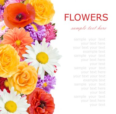 Çiçekler arka plan üzerinde beyaz örnek metin ile izole