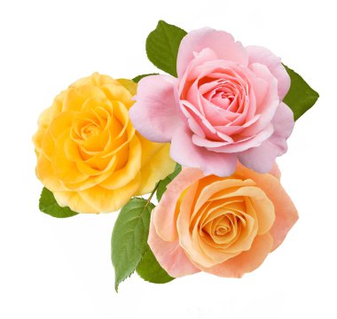 Gül çiçek demet izole üzerinde beyaz arka plan