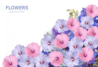 Çan ve gül arka plan üzerinde beyaz izole