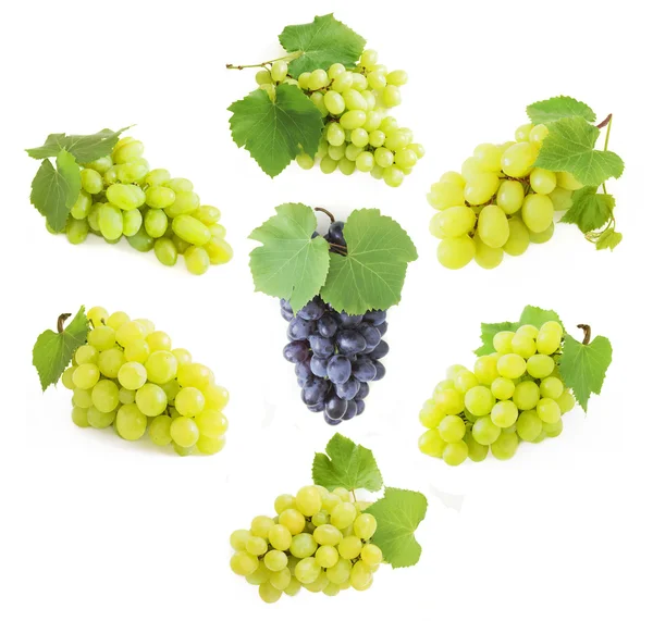 Grapes brunches isolated on white — Stock Photo, Image