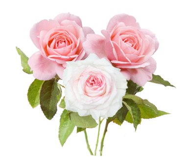 Gül çiçek demet izole üzerinde beyaz arka plan