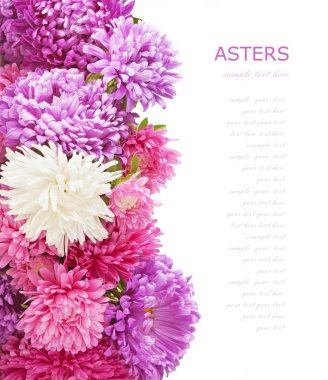 yaz çiçek arka plan