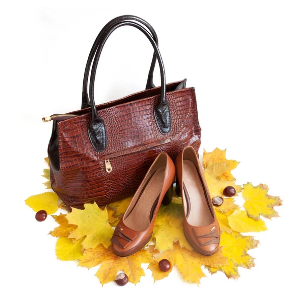 Lederen schoenen en een tas met najaar bladeren — Stockfoto