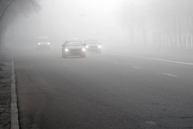Sis havası ve otoyol. Yoğun siste Araba Sürme. Tehlikeli Yol Koşulları, Açık Hava