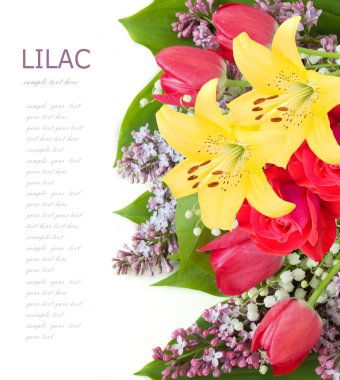 Çiçekler arka plan üzerinde beyaz örnek metin ile izole