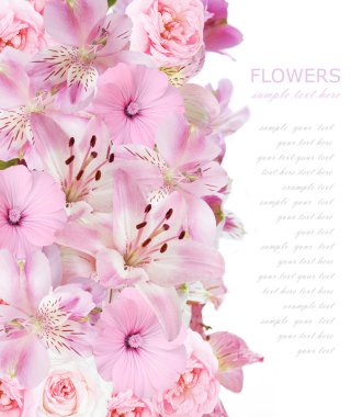 Çiçekler arka plan üzerinde beyaz örnek metin ile izole