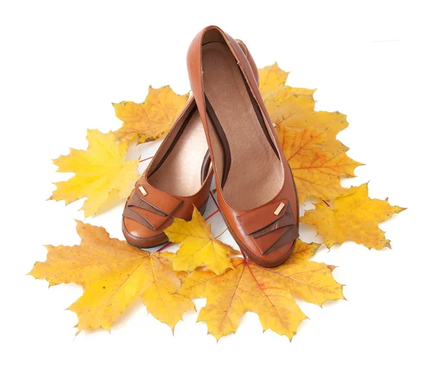 Zapatos de mujer con hojas de otoño — Foto de Stock